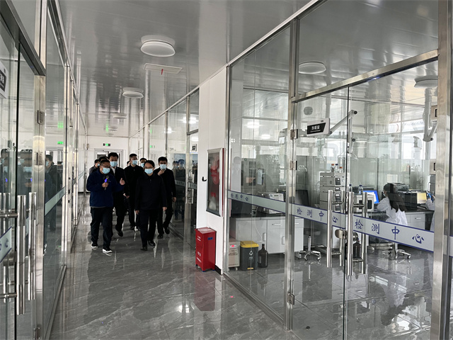 省領導 調(diào)研 訪客 參觀